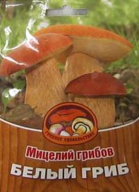Как сделать свою грибницу