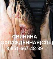 полутуши свинина, свиные полутуши, свинина охлажденная, мясо полутуши, куплю полутуши, купить полутуши, куплю свинину полутуши, мясо охлажденное оптом, свинина туши полутуши, куплю свинину туши полутуши, цена полутуши, продажа охлажденного мяса, куплю мяс - полутуши свинина, свиные полутуши, свинина охлажденная, мясо полутуши, куплю полутуши, купить полутуши, куплю свинину полутуши, мясо охлажденное оптом, свинина туши полутуши, куплю свинину туши полутуши, цена полутуши, продажа охлажденного мяса, куплю мясо охлажденное, продам полутуши, купить свинину в полутушах, куплю свинину в полутушах, продажа полутуш, свинина полутуши мясо, продам полутуши, свинина полутуши оптом, куплю свиные полутуши, купить мясо свинины полутуши, свинина в полутушах цена, продам полутуши свиные, охлажденная свинина в полутушах, охлажденное мясо свинины, куплю свинину оптом полутуши, мясо охлажденное в полутушах, свинина полутуши продажа, куплю свиные полутуши, купить свиные полутуши, мясо свинина, купить свинину, куплю свинину, свинина цена, свинина оптом, производство свинины, продам свинину, продажа свинины, куплю мясо свинины, купить мясо свинины, свиные туши, продам мясо свинины, куплю свинину оптом, купить свинину оптом, продажа мяса свинины, мясо свинины оптом, производители свинины, продажа свинины оптом, продам свинину оптом, свинина оптом санкт-петербург